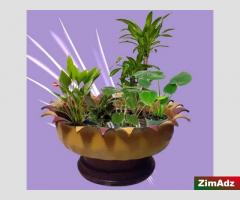 'Earth' Tone Patio Planter