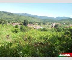 DANGAMVURA LINK ROAD STAND FOR SALE