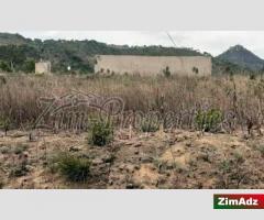 Stand for sale in Beira Corridor [1298]