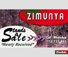 Stands for sale in Zimunya [1291]