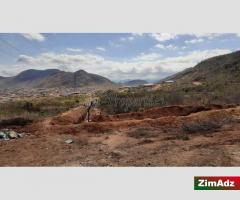 Residential Housing Development Stands [1293]