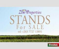 Stands for Sale in various locations [1281]