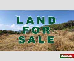 Land for Sale in Juliasdale