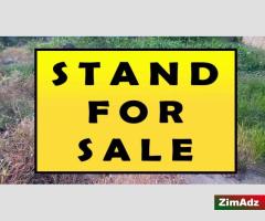 Stand for Sale in Beira Corridor